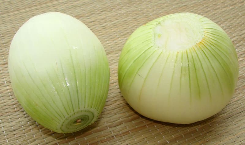 تصویر 1 از پیاز سنگی کوچک ریز و سفت با مقاومت بالا برای آشپزی مطمئن